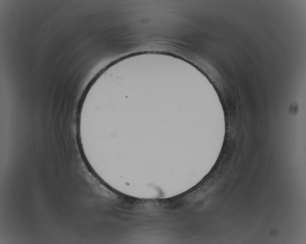 X0000092260950200710051316