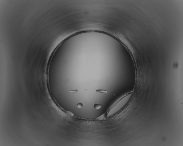 X0000092260951200710051316