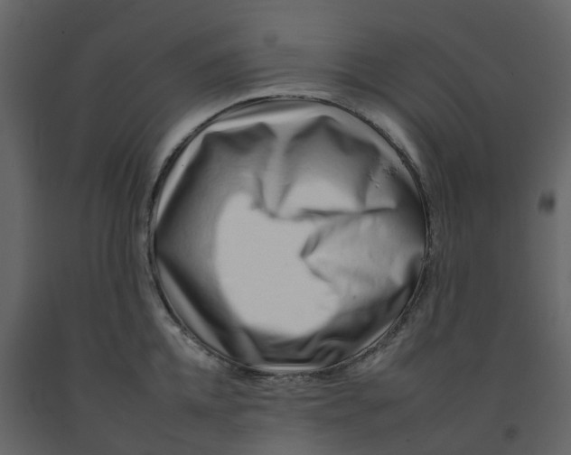 X0000092260952200710051316