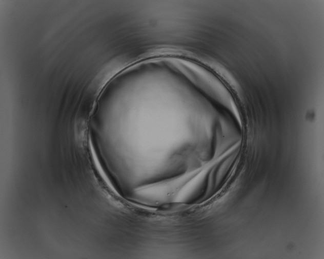 X0000092260953200710051316