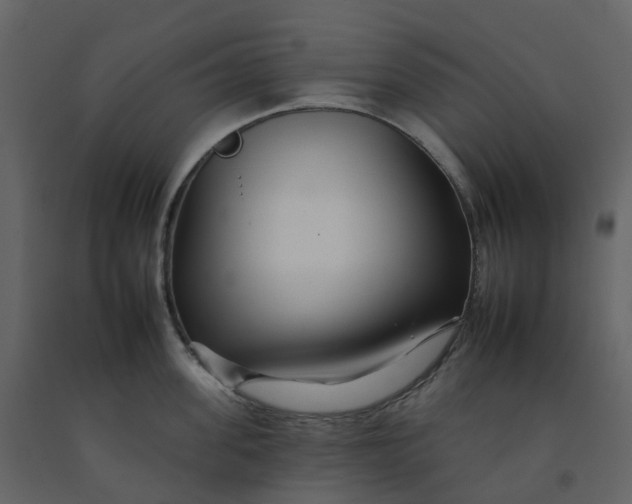 X0000092260955200710051316