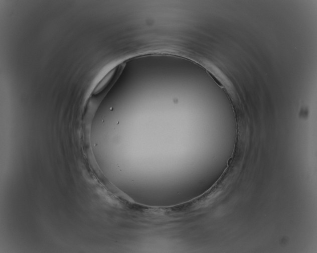 X0000092260956200710051317