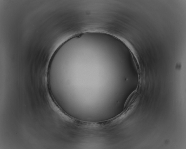 X0000092260957200710051317