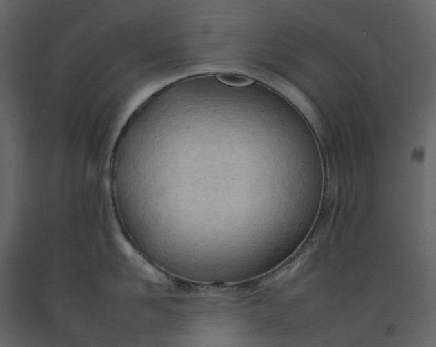 X0000092260958200710051317