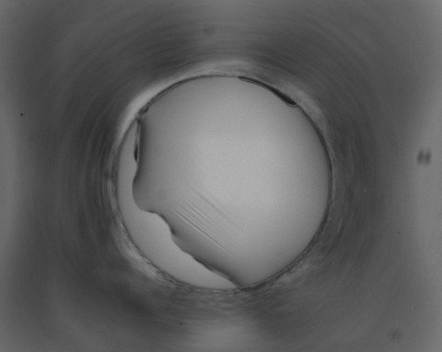 X0000092260960200710051317