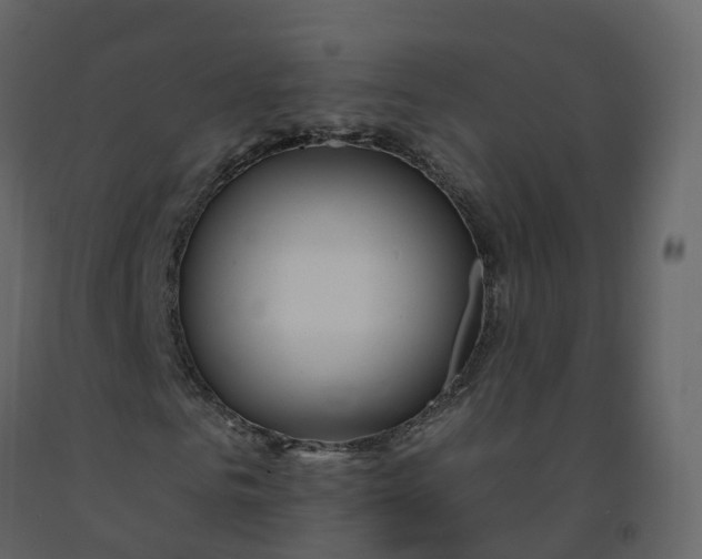 X0000092260961200710051316