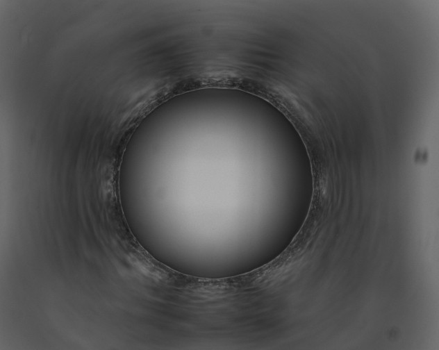 X0000092260964200710051316