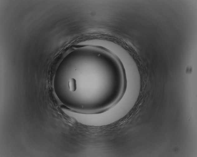 X0000092260965200710051316