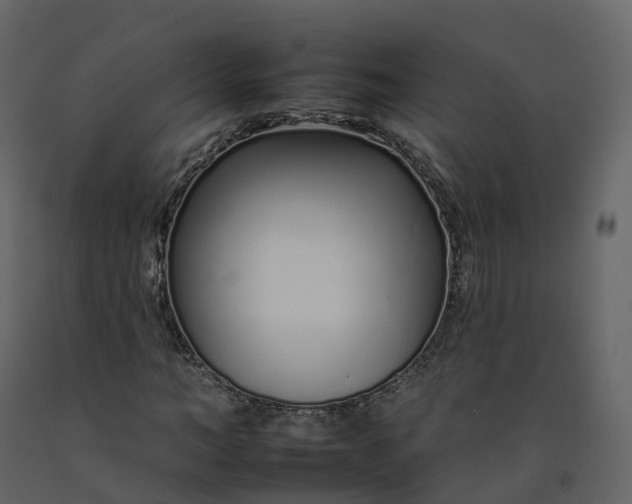 X0000092260966200710051316