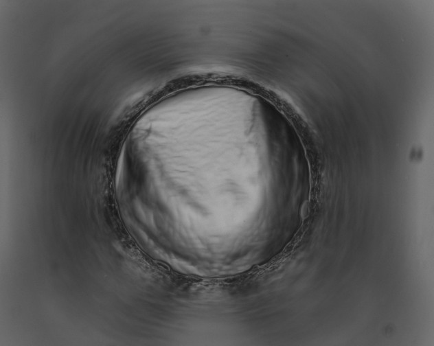 X0000092260967200710051316