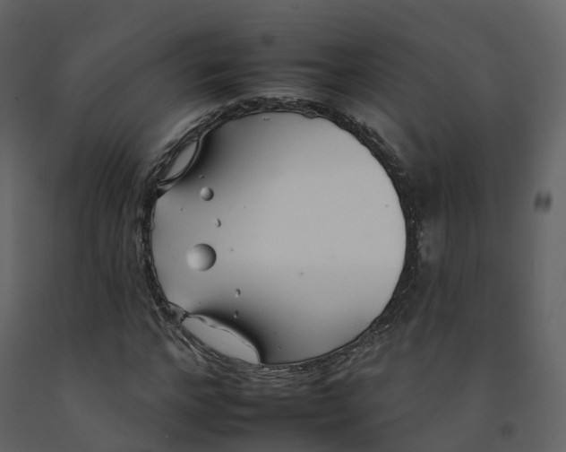 X0000092260968200710051316