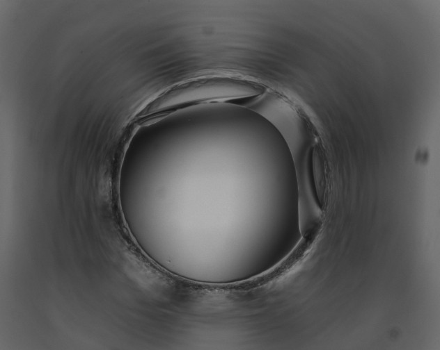 X0000092260969200710051316