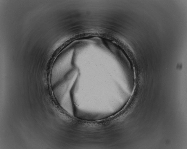 X0000092260970200710051316