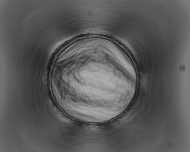 X0000092260971200710051316