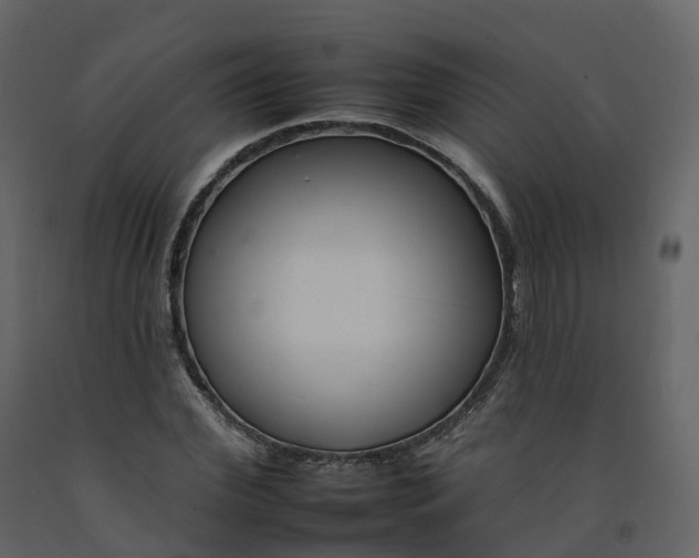 X0000092260972200710051316