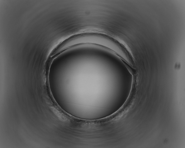 X0000092260973200710051316