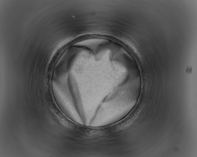 X0000092260974200710051316