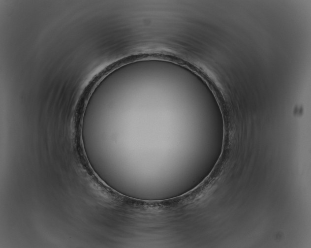 X0000092260975200710051316