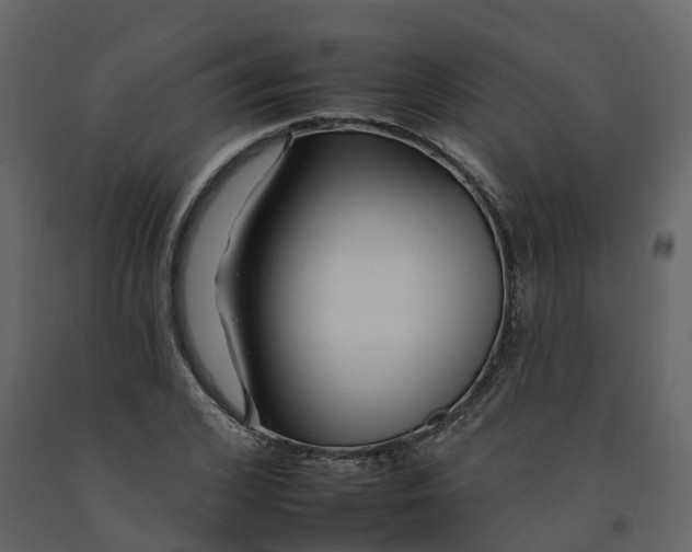 X0000092260976200710051316