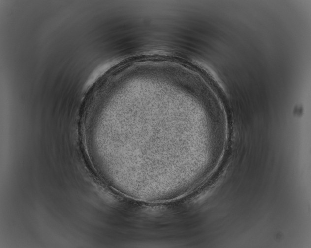 X0000092260978200710051316