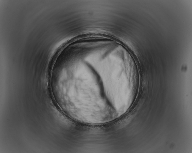 X0000092260979200710051316