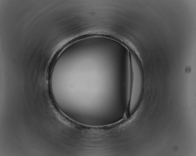 X0000092260981200710051316