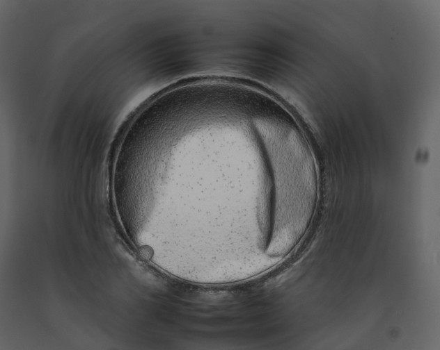 X0000092260982200710051316