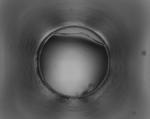 X0000092260983200710051316