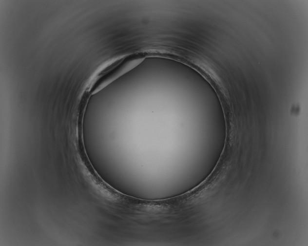 X0000092260984200710051316