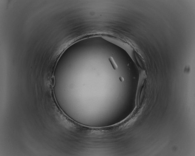 X0000092260985200710051316