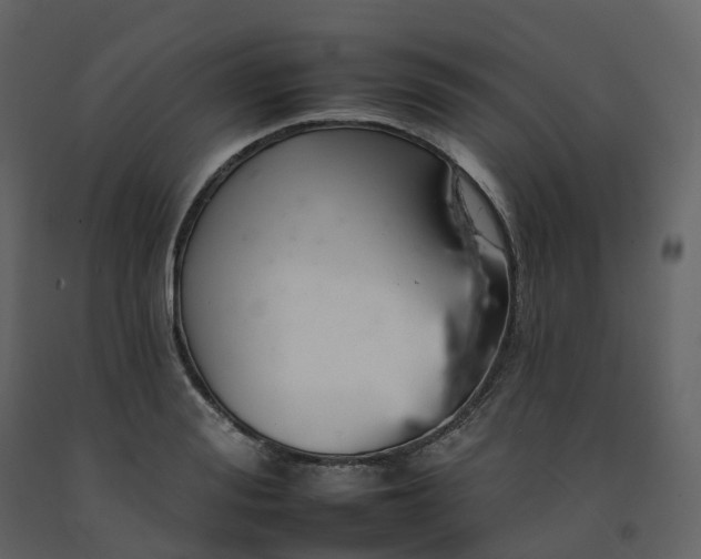 X0000092260988200710051316