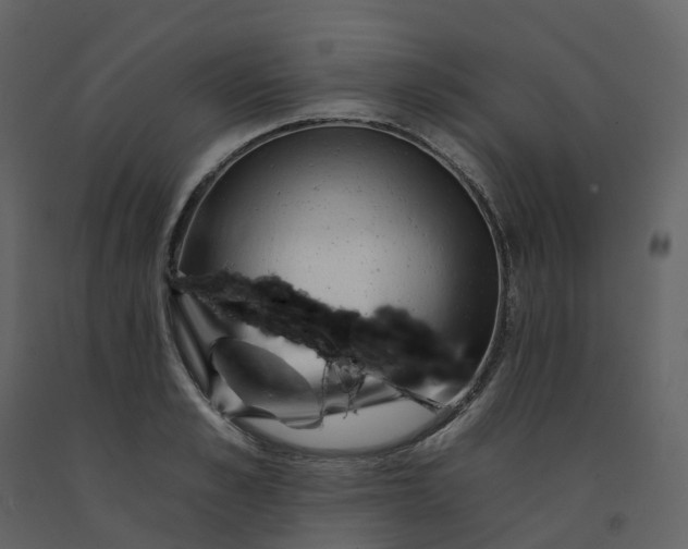 X0000092260989200710051316