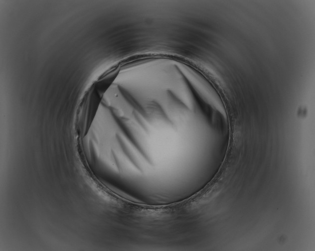 X0000092260990200710051316