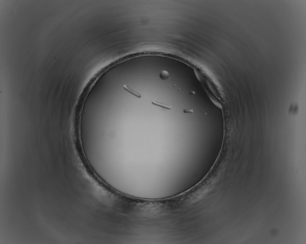 X0000092260991200710051316