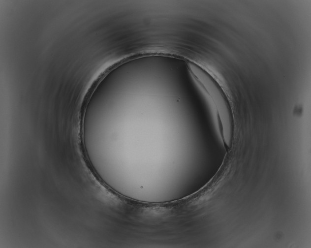 X0000092260992200710051316