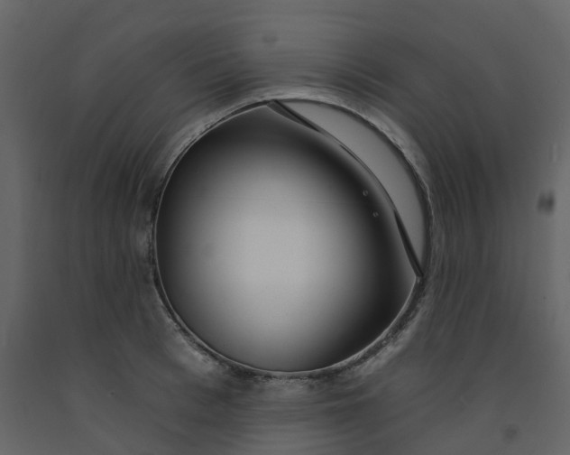 X0000092260993200710051316