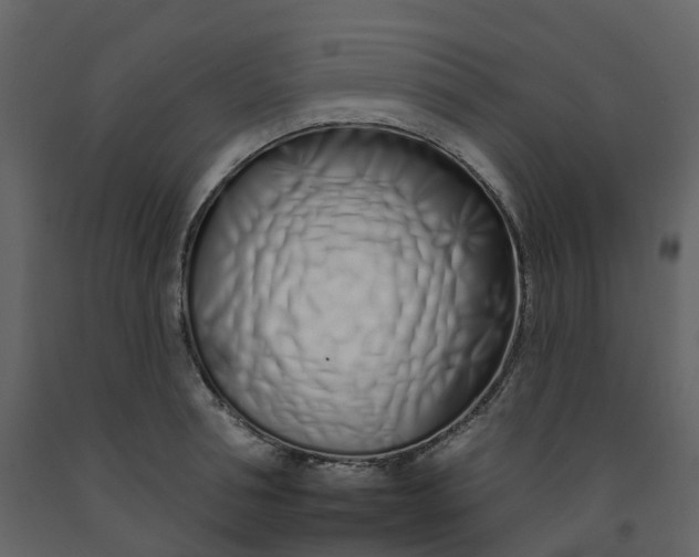 X0000092260994200710051316