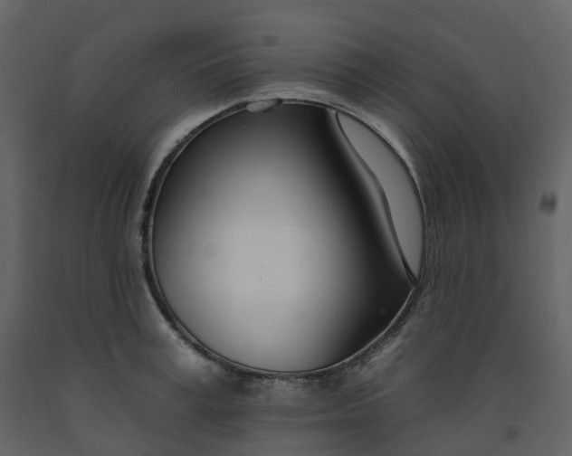 X0000092260995200710051316