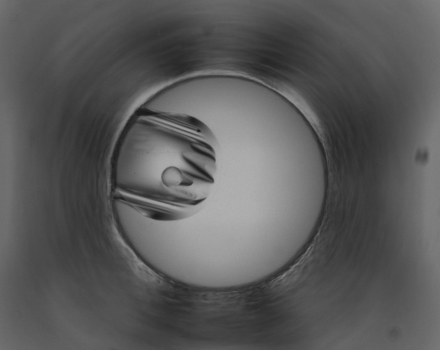 X0000092260996200710051316