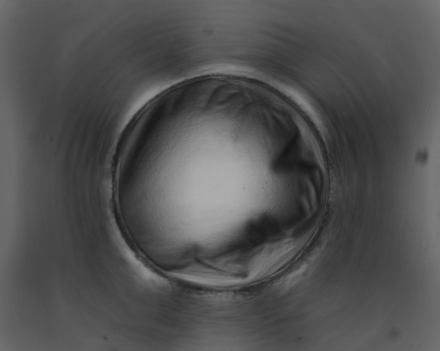 X0000092260999200710051315