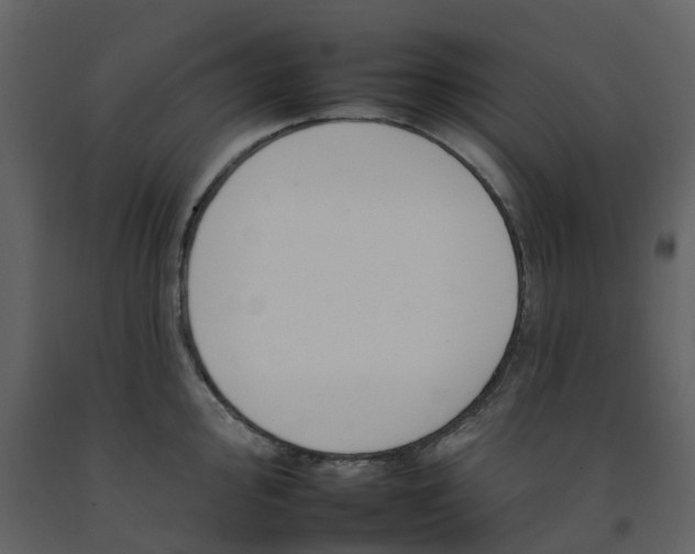 X0000092261000200710051315