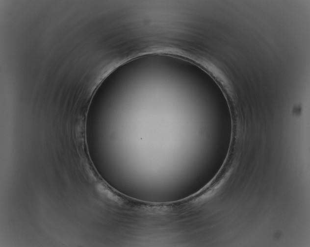 X0000092261001200710051315