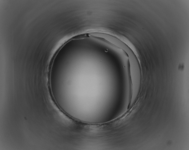 X0000092261005200710051315