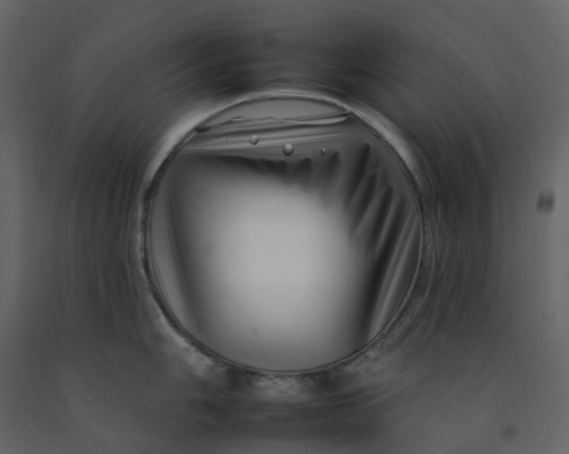 X0000092261006200710051315