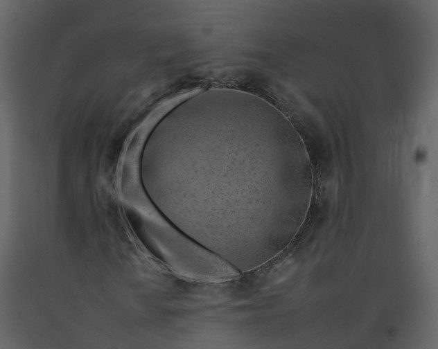 X0000092261010200710051315