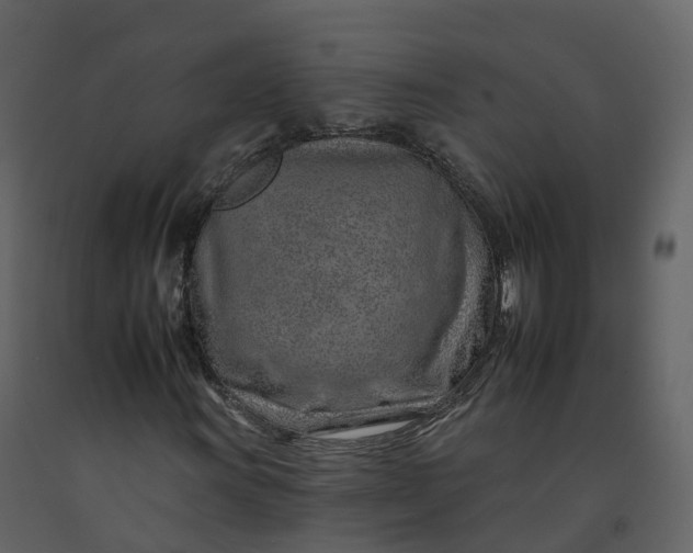 X0000092261011200710051315