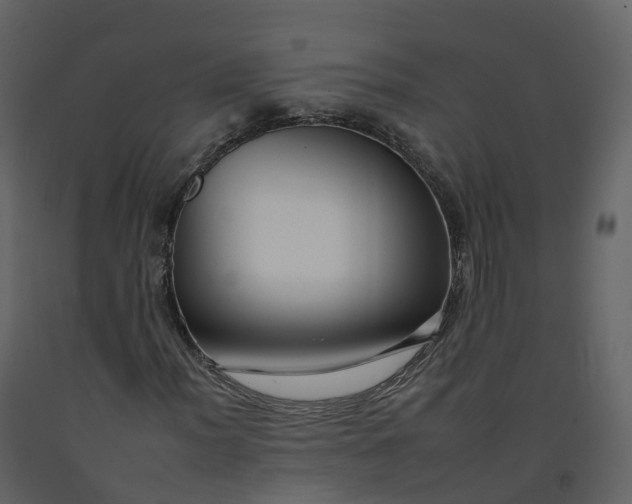 X0000092261012200710051315