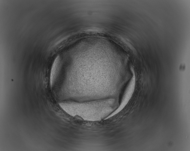 X0000092261015200710051315