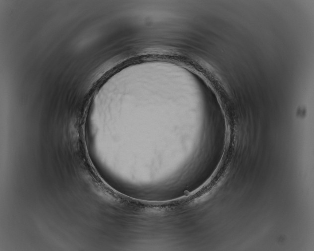 X0000092261017200710051315