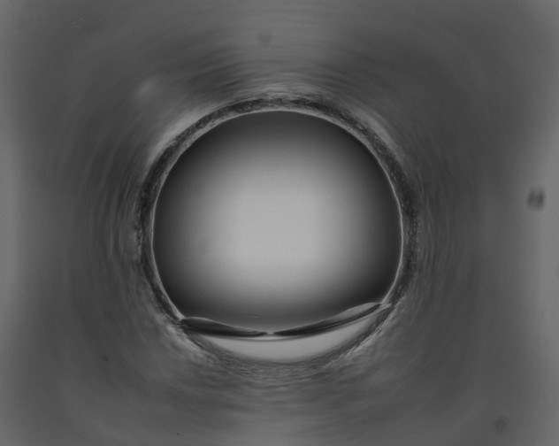 X0000092261018200710051315